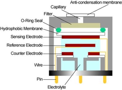 Electrochemical sensor